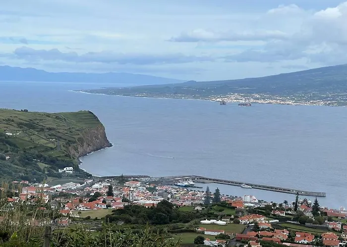 Casa Palmeiras - Res. Of Elizabete And Fatima Horta (Azores)