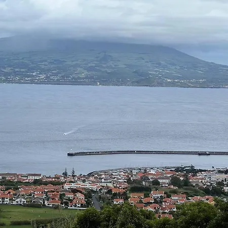 Casa Palmeiras - Res. Of Elizabete And Fatima
