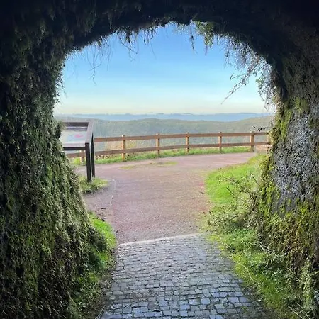 Casa Palmeiras - Res. Of Elizabete And Fatima Hébergement de vacances Horta (Azores)