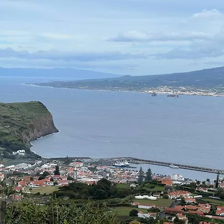 Casa Palmeiras - Res. Of Elizabete And Fatima Horta (Azores)