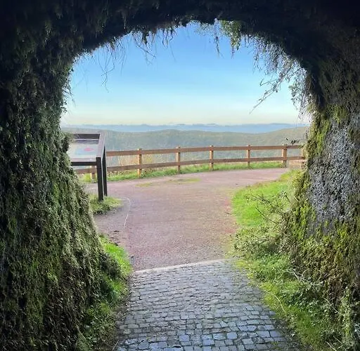 Casa Palmeiras - Res. Of Elizabete And Fatima בית נופש הורטה