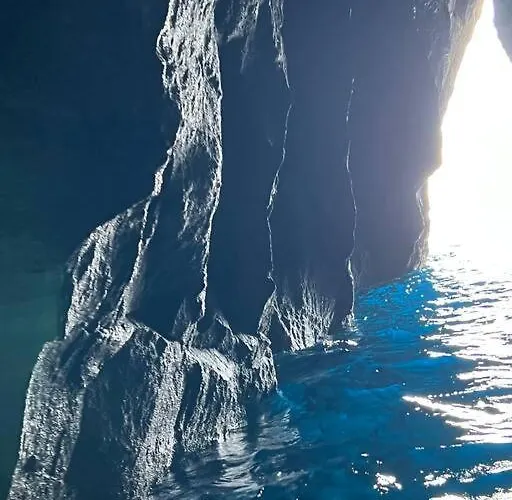 Casa Palmeiras - Res. Of Elizabete And Fatima בית נופש הורטה